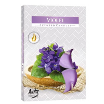 Tealights scent 6pcs violet in colored