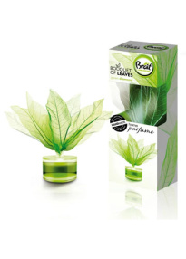 BRAIT Magnolia leaf room fragrance Green 50ml