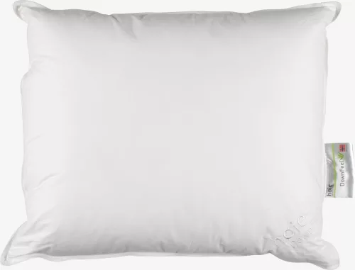 2 KPL !!!tyyny 50x60 Høie DOWNFEEL  TRE