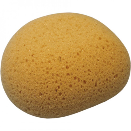 Sponge 13x11x7cm