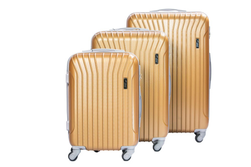 Alezar Melville Travel Bag Set Gold (20