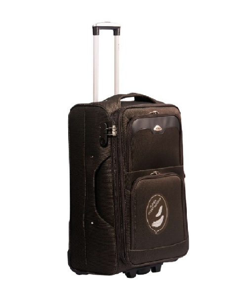 Alezar Travel Bag Brown, 2 wheels 20