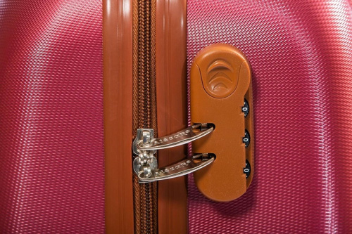 Alezar Gold Travel Bag Set Red (20