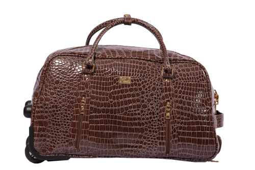 Alezar Carrying Case Coffee 25