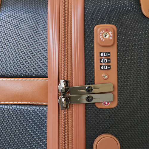 Alezar Suitcase  Black/Brown 20