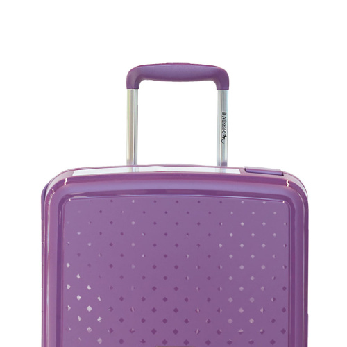 Alezar Premium Travel Bag Purple (20