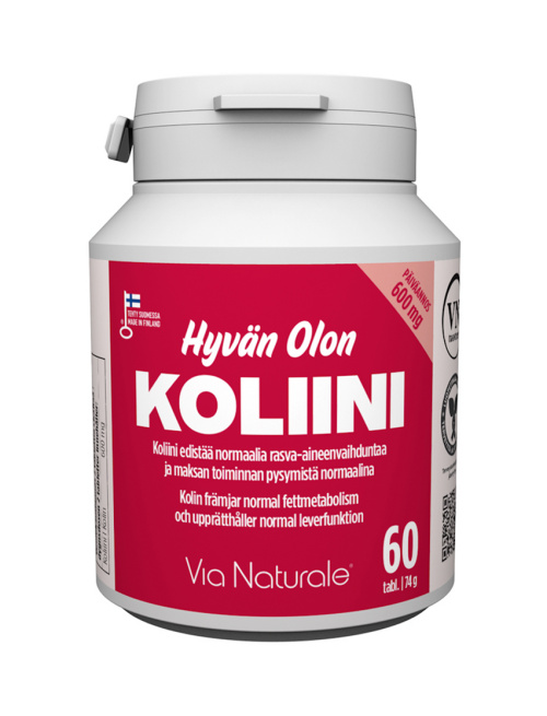 VN Hyvän Olon Choline 600mg 60tabs
