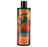 VisPlantis Shampoo for hair weakened with styling treatment, pumpkin seed oil 400ml