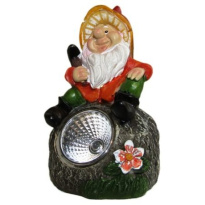 Garden decoration LED Solar lamp