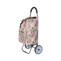 Alezar Big Wheel Shopping Trolley 88*20*49 cm