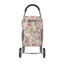 Alezar Big Wheel Shopping Trolley 88*20*49 cm