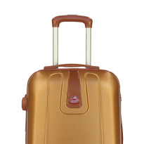 Alezar Gold Travel Bag Gold 28