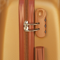 Alezar Gold Travel Bag Set Gold (20