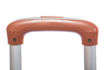 Alezar Gold Travel Bag Red 20