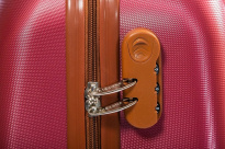 Alezar Gold Travel Bag Red 24