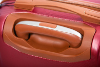 Alezar Gold Travel Bag Red 24