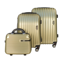 Alezar Tasmania Travel Bag Set Gold (14