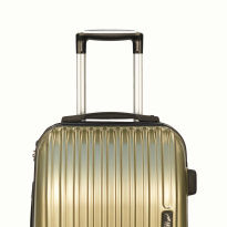 Alezar Tasmania Travel Bag Set Gold (14