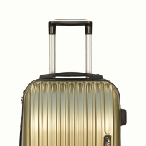 Alezar Tasmania Travel Bag Gold 20