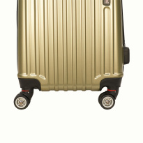 Alezar Tasmania Travel Bag Set Gold (14