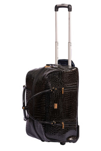 Alezar Carry-On Roller Bag Black (30*29*55 cm) 25