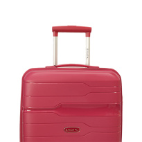 Alezar Lux Neo Travel Bag Rose 24