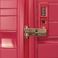 Alezar Lux Neo Travel Bag Rose 20