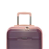 Alezar Cabin Size Travel Bag Coffee 20