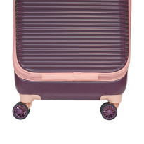 Alezar Cabin Size Travel Bag Coffee 20