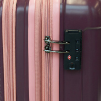 Alezar Cabin Size Travel Bag Coffee 20