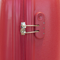 Alezar Travel Bag Red 28