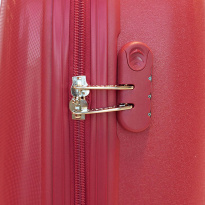 Alezar Travel Bag Red 24
