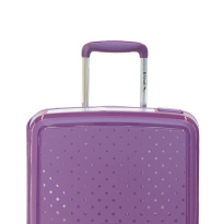 Alezar Premium Travel Bag Purple (20