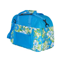 Cooler Bag Blue/Green 35*46*22 cm