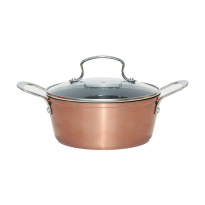 Eaton Casserole 20 Cm