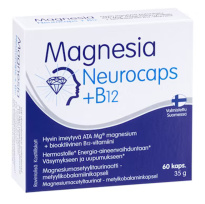 Magnesia Neurocaps + B12 60caps 35g