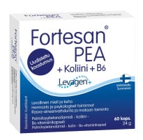 Fortesan PEA + Choline + B6 60kaps / 24g