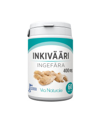 VN Ginger 60 pills